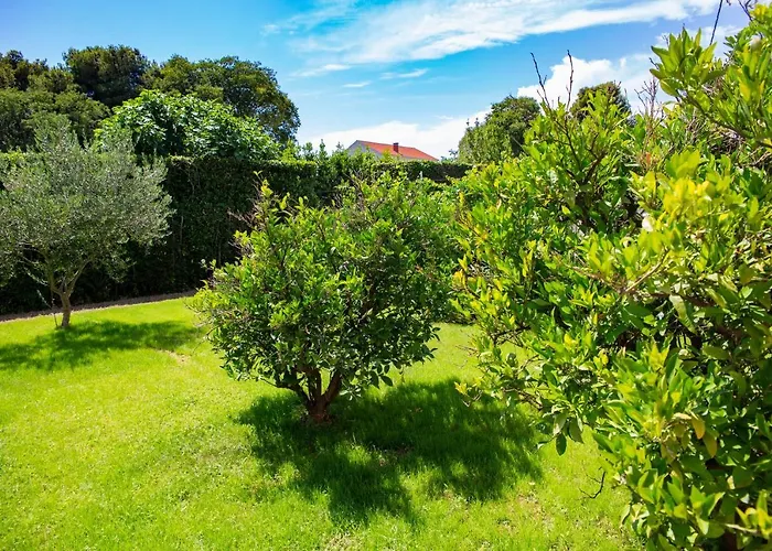 Iadertina Apartment